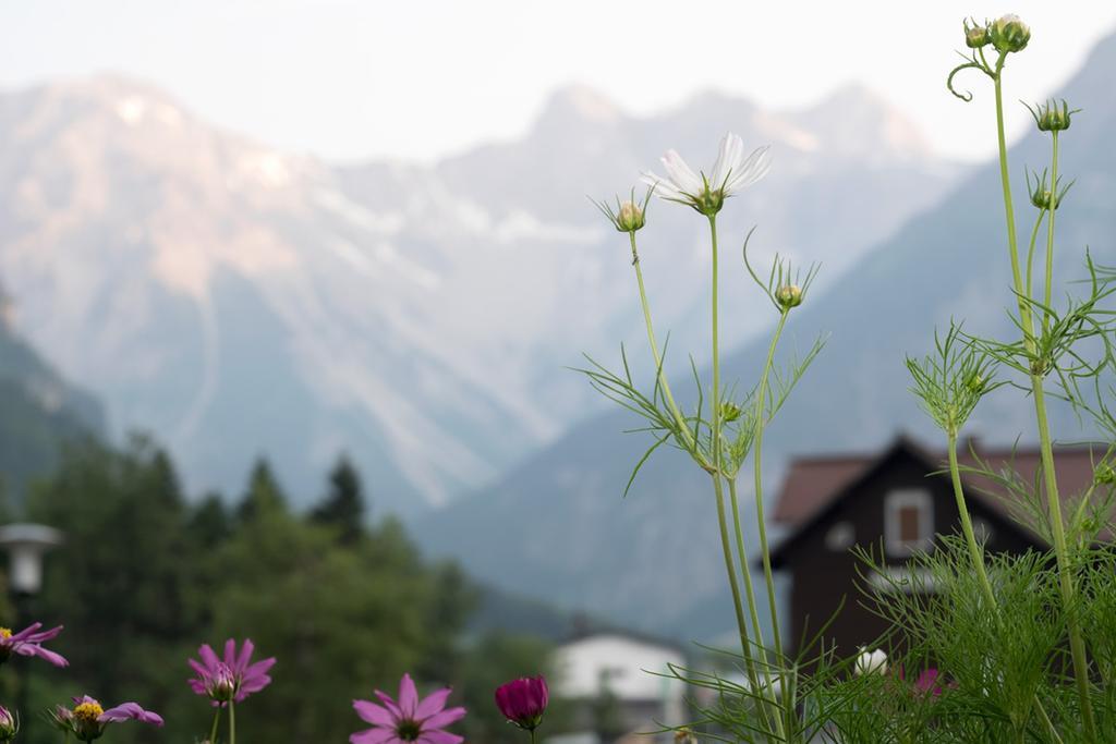 Apartmán Valschena